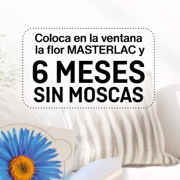 6meses 6 Meses sin moscas
